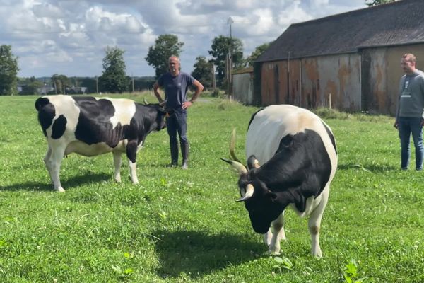 Installés depuis 2019,  Philippe Marchand et Emilien Mondher sont paysans fromagers à la Ferme du gros Chêne à Betton, près de Rennes. Ils ont pensé à la transmission dès leur installation.