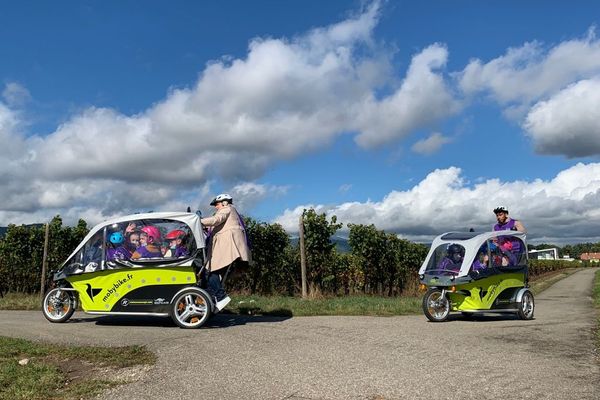 Les élèves de l'école la Dame Blanche admirent la vue sur la route des vins en route vers la cantine de Logelbach. 