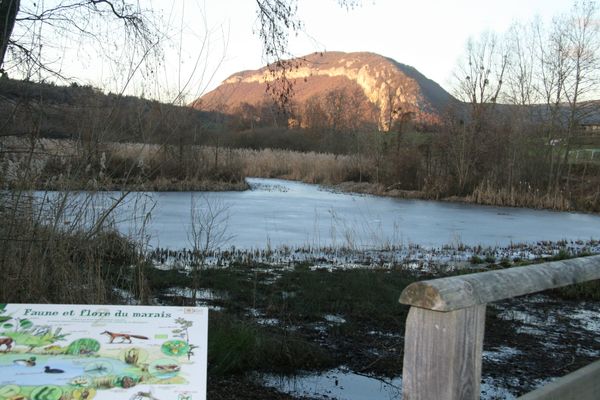 Un adolescent de 14 ans s'est noyé dans le marais de Poisy après être passé sous la glace le 19 janvier 2022. (Illustration)