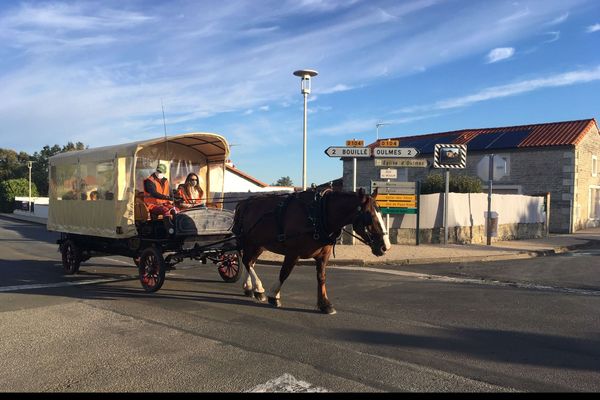 Depuis un an déjà, une petite vingtaine d'enfants de Bouillé-Courdault va à l'école en calèche.