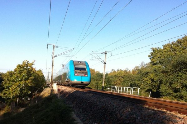 Oudon Loire Atlantique Une Femme Et Son Bebe Percutes Par Un Ter