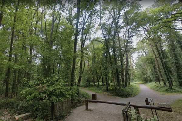 Le parc des Gayeulles au Nord-Ouest de Rennes.