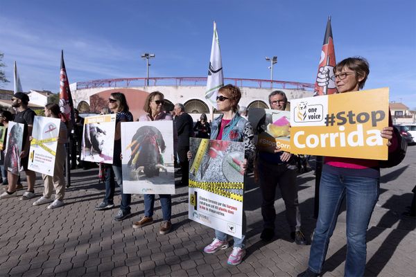 Pérols (Hérault) - une manifestation anti-corrida devant les arènes - avril 2023.