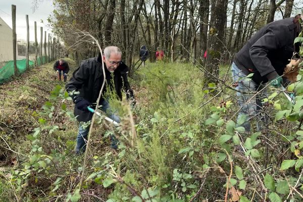 Les manifestants se sont rassemblés pour débroussailler les alentours de la clôture.