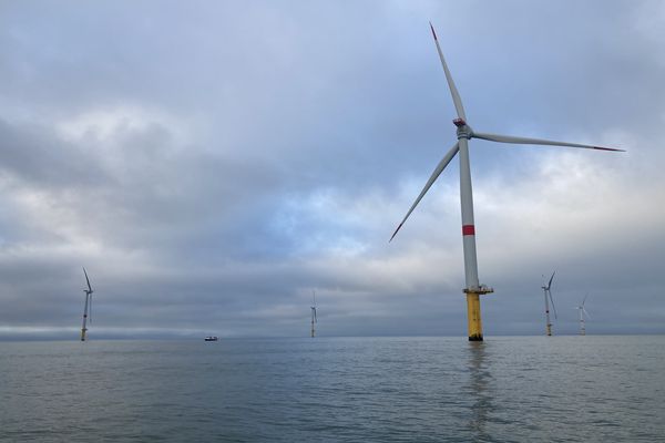 80 éoliennes de 6 MW sont réparties sur 78 km2 au sein du parc éolien de Saint-Nazaire