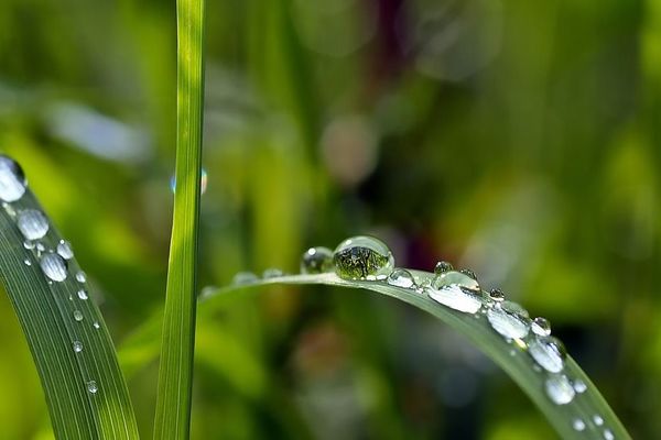 De l’eau pour arroser les jardins