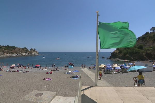 Drapeau vert sur une plage des Pyrénées-Orientales illustration