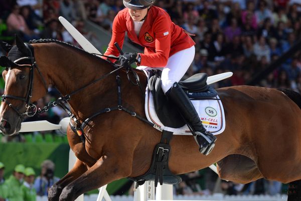 Une épreuve de sauts d'obstacles du concours complet aux Jeux Equestres Mondiaux 2014 (Lara de Liedekerke, Belgique) (Archives)