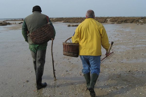 La pêche à pied interdite en Loire-Atlantique et sur certaines plages de Vendée