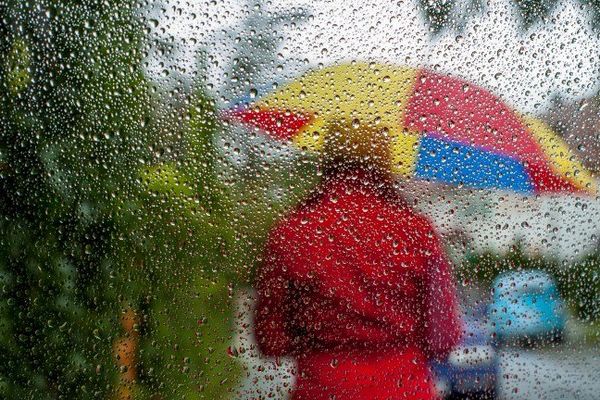 En ce jour de Toussaint, sortez parapluie et couleurs pour oublier la pluie.