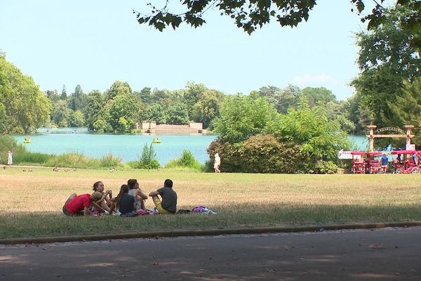 Au parc de la Tête d'or, ce dimanche 11 août.