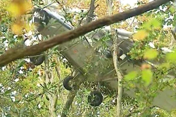 L'engin est posé sur la cime des arbres à 10 mètres de hauteur 