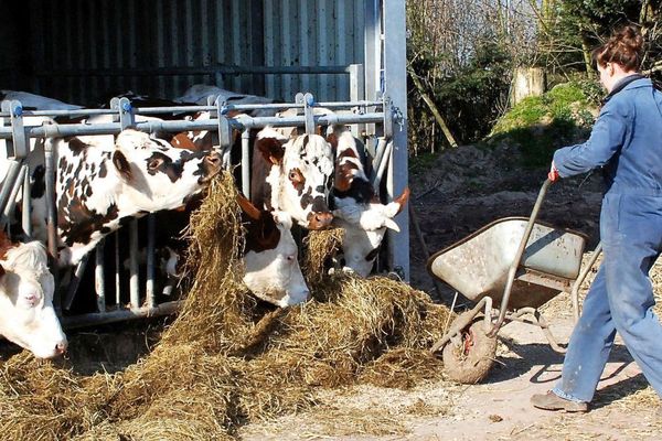 Une quinzaine d'agriculteurs bénéficieront du dispositif de reconversion professionnelle.