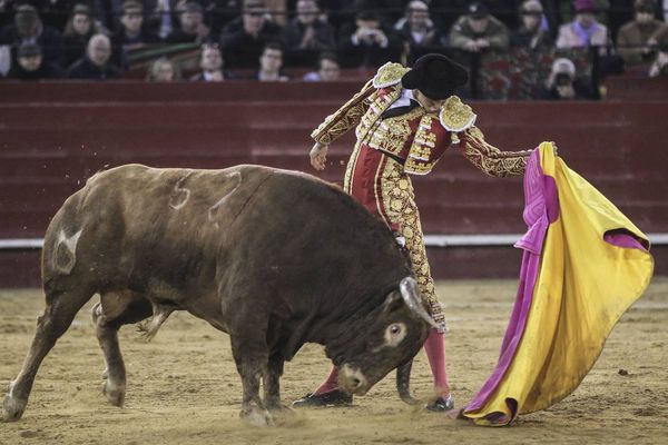 Le quite par "largas" de Roca Rey le vendredi 17 ars à valencia. D'ores et déjà, un sommet de la temporada.