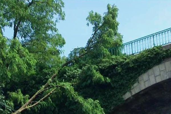 Un arbre en équilibre instable après l'orage en Haute-Normandie