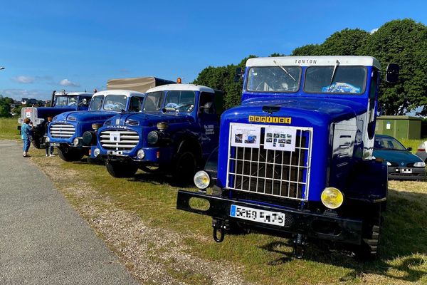 Quelques exemplaires de la collection de camions de Christian Louvet lors d'une exposition sur le champ de foire d'Elbeuf les 12 et 13 juin 2021
