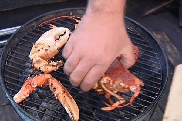 Le homard est la star de la balade