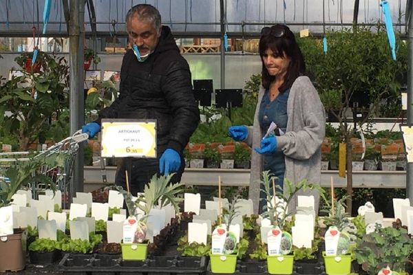 Une bouffée d'oxygène pour les jardiniers confinés.