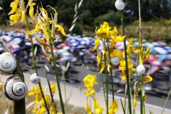 Tour de France - les coureurs dans l'Hérault - 4 juillet 2013