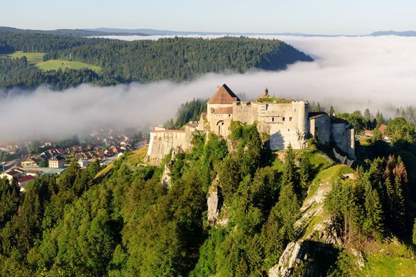 Le château de Joux