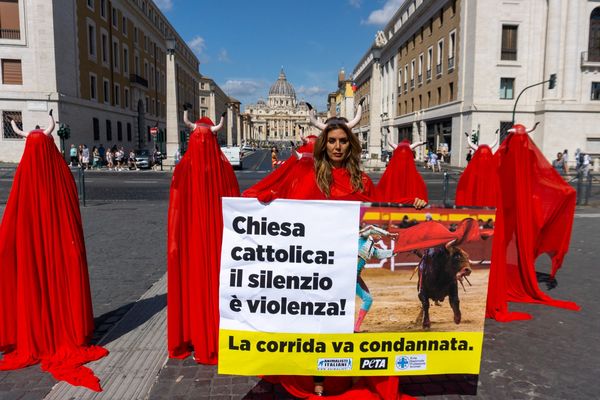 Des membres de PETA se sont réunis devant le Vatican pour demander au Pape François de dénoncer la corrida. Dimanche 30 juillet 2023.