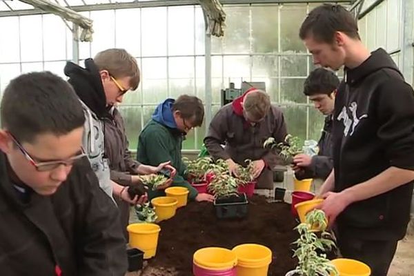 Des élèves de l'Ecole du Paysage et de l'Horticulture de Saint Gabriel-Brécy