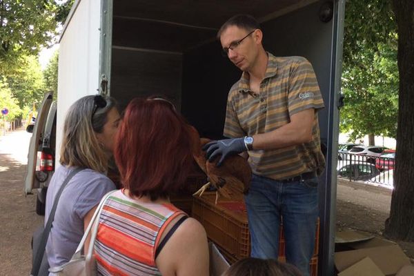 Samedi 2 juin, la mairie de Trévoux, dans l’Ain, a distribué une centaine de poules aux habitants de la commune