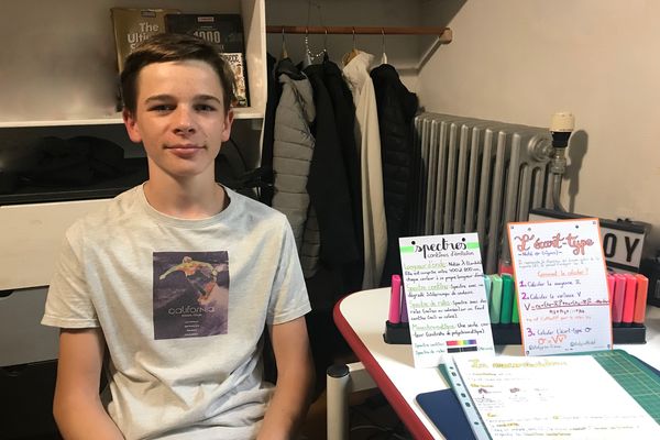 Vladimir Vallotton, jeune Tarnais de 14 ans, a créé un site internet collaboratif pour partager gratuitement des fiches de révision.