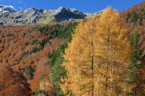 Les Pyrénées en automne offrent aux yeux un feu d'artifice de couleurs.