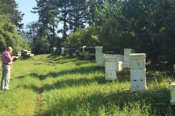 Agriculteurs et apiculteurs à Beine-Nauroy (Marne)