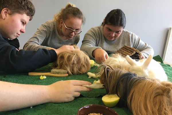 Les jeunes de l'institut médico professionnel sont concentrés sur les charmants animaux venus avec Emmanuelle Chalot