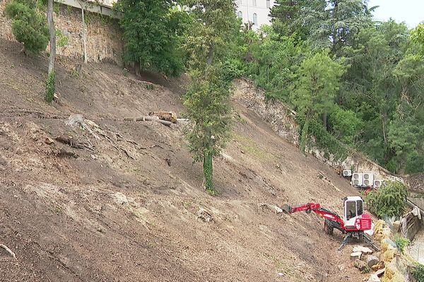 Lyon 5e : une trentaine d'arbres abattus sur la balme de Fourvière, Espace boisé classé ... La terrasse aujourd'hui après le passage des tronçonneuses et engins de chantier - juillet 2021