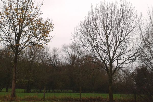 Le ciel d'Avelin le 24 novembre