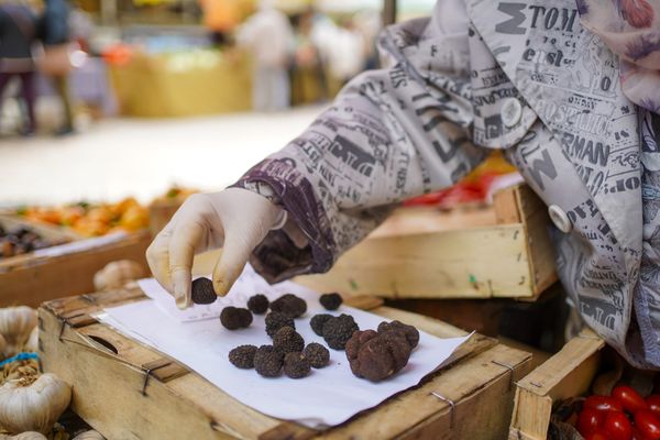 Des truffes en vente sur le marché traditionnel de Sarlat, en Dordogne - Photo d'illustration