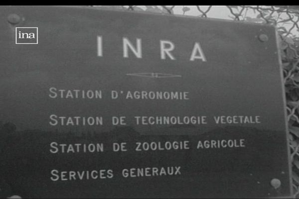 L'INRA (Institut national de la recherche agronomique) possède 17 centres régionaux, dont un à Dijon, en Côte-d'Or