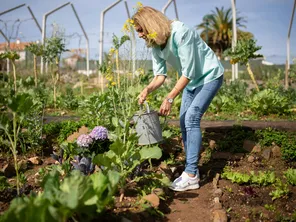 Entretnir et arroser son jardin tout l'été est indispensable pour assurer une belle récolte ou une floraison abondante.