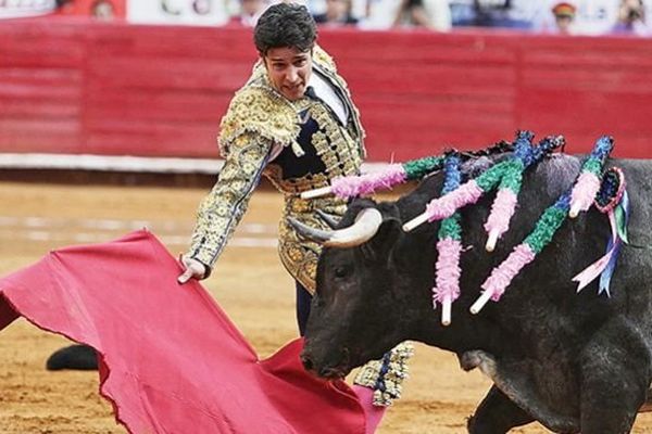 Il avait commencé une carrière de comédien dans les tele novelas mexicaines : Federico Pizarro a coupé une oreille hier à Mexico.