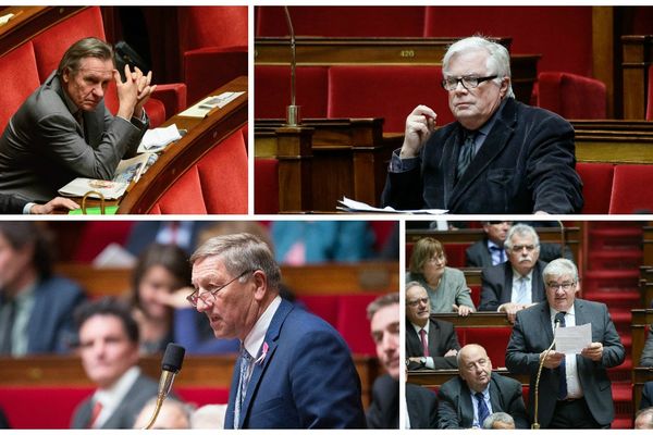 Vos députés emploient-ils leurs proches au Sénat ?