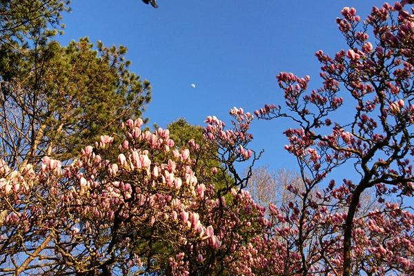 Une semaine ensoleillée pour cette première semaine du printemps !