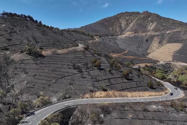 Les collines de Cerbères, commune des Pyrénées-Orientales, ravagées par les flammes ce 16 avril 2023.