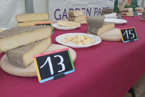 Le concours officiel du fromage Saint-Nectaire est la référence pour les membres de la filière mais aussi pour les consommateurs. 