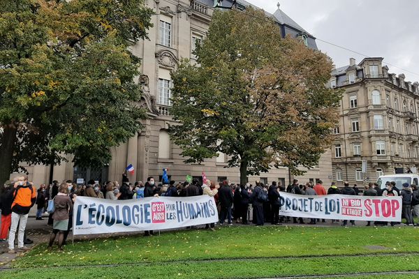 Les manifestants anti-PMA ont répondu, samedi 10 octobre 2020, à l'appel du collectif d'associations Marchons Enfants.