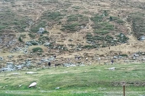 Comme des fourmis sur la montagne, les trafiquants de cigarettes en provenance d'Andorre passent tout prêt du village de l'Hospitalet.