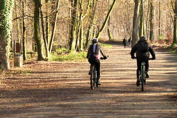 Dans les lieux prisés par les sportifs du dimanche, la règle des « une heure et un kilomètre » a du mal à passer.