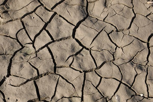 Sécheresse : certains cours d'eau sont asséchés en Alsace