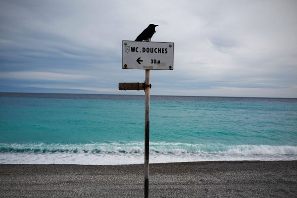 L'Université Côte d'Azur, a lancé en mars 2020, une carte interactive mondiale, afin de réencenser les phénomènes écologiques et solidaires observés pendant le confinement. 