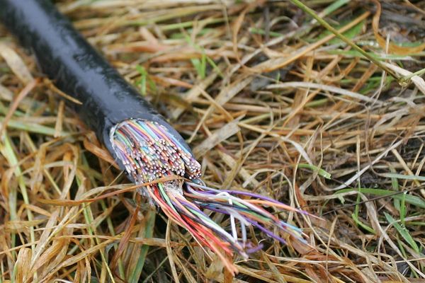 L'équipe de voleurs a arraché plus de 50 kilomètres de câbles téléphoniques.