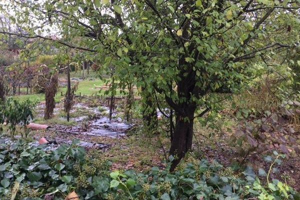 Le jardin dans lequel le corps a été retrouvé