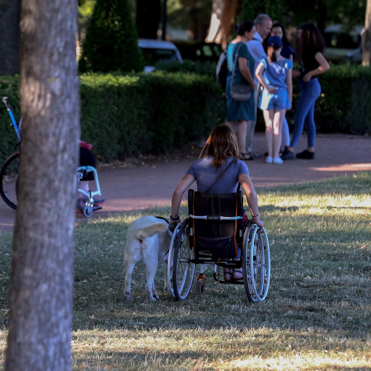 Location de fauteuil roulant au ZooParc de Beauval - Beauval Actus