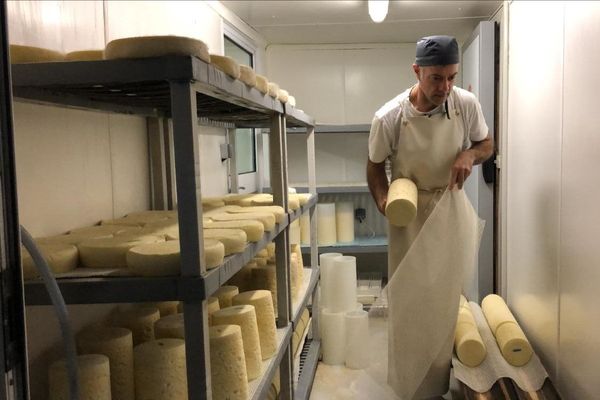 La fourme d'Ambert produite à la ferme des Supeyres, à Valcivières dans le Puy-de-Dôme, a reçu le prix "fermier d'or".